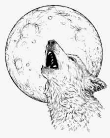 Wolf Howling At Moon - Sketch, HD Png Download, Free Download