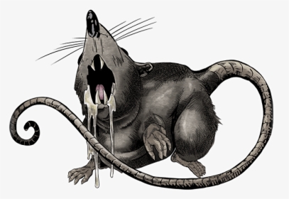 Unit Rat - Cat Yawns, HD Png Download, Free Download
