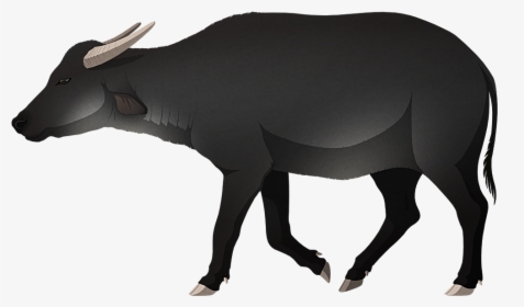 A Stylized Illustration Of An Extinct Dwarf Water Buffalo - Water Buffalo, HD Png Download, Free Download