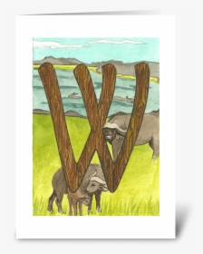 W For Water Buffalo Greeting Card - Warthog, HD Png Download, Free Download