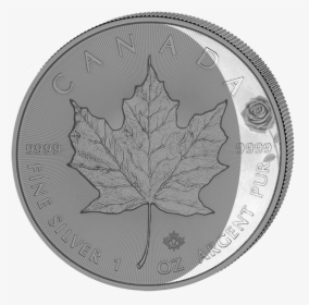 Maple Leaf "moon Phases - Coin, HD Png Download, Free Download