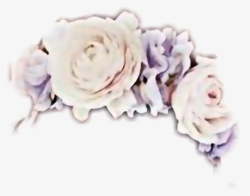 #corona De Flores - Garden Roses, HD Png Download, Free Download