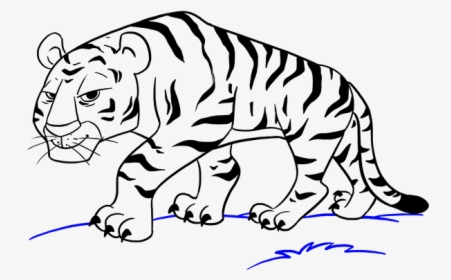 Drawing Tigers Hipster - Cartoon Drawing Of Tiger, HD Png Download, Free Download