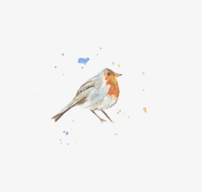 European Robin, HD Png Download, Free Download