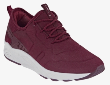 Basketball Shoe, HD Png Download, Free Download