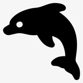 Dolphin, HD Png Download, Free Download