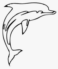 Dolphin , Png Download, Transparent Png, Free Download