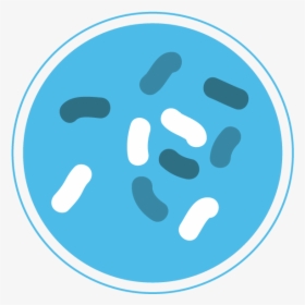 Bacteria Png - Microorganism Icon Png, Transparent Png, Free Download