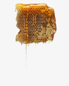 #honey #sweet #beehive - Beehive Png, Transparent Png, Free Download
