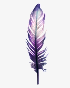 Feather , Png Download - Feather, Transparent Png, Free Download