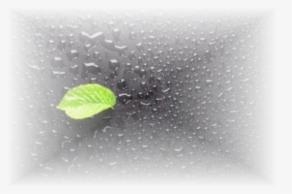 Lluvia - Macro Photography, HD Png Download, Free Download
