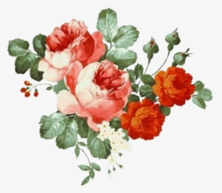 Image By 🥡 - Transparent Background Flower Illustration Png, Png Download, Free Download