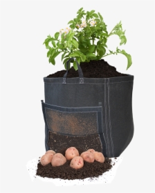 Geopot Fabric Pots, HD Png Download, Free Download
