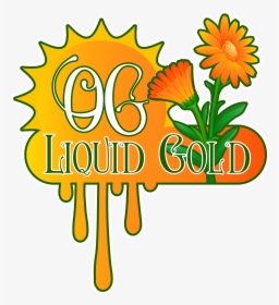 Logo, HD Png Download, Free Download