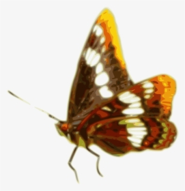 Apatura, HD Png Download, Free Download