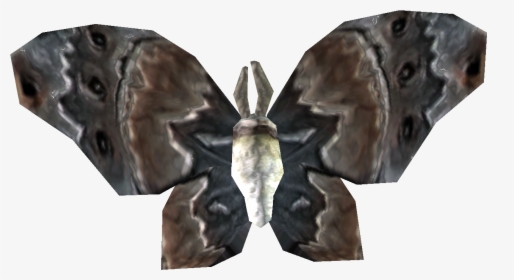Elder Scrolls - Skyrim Ancestor Moth, HD Png Download, Free Download