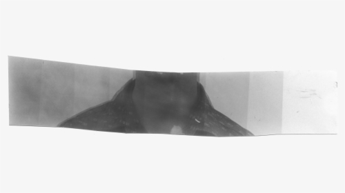 Whale, HD Png Download, Free Download