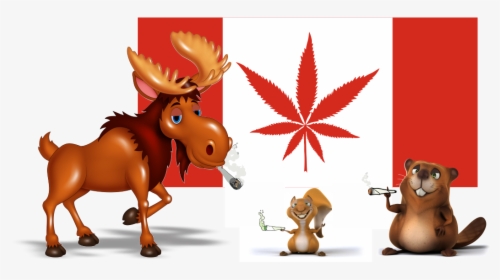 Stickernut And Marijuana Stickers In Canada - Cartoon, HD Png Download, Free Download