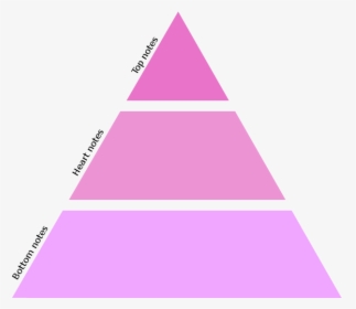 The Olfactive Pyramid - Pyramide Olfactive Du Parfum, HD Png Download, Free Download