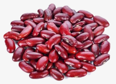 Cocoa Bean, HD Png Download, Free Download