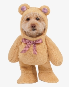 Teddy Bear Dog Costume, HD Png Download, Free Download