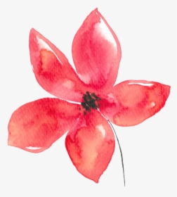 Hand Painted Five Petals Red Flower Watercolor Transparent - Acuarela Flor Watercolor Png, Png Download, Free Download