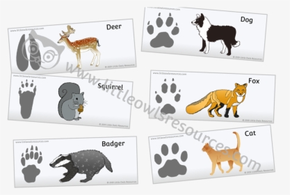 Animal Footprints In The Snow Cards - Bovine, HD Png Download, Free Download