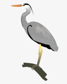 Grey Heron Png, Transparent Png, Free Download