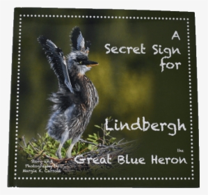 Lindberg Great Blue Heron Book - Animal, HD Png Download, Free Download
