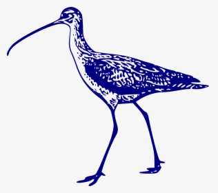 Black And White Clipart Curlew, HD Png Download, Free Download