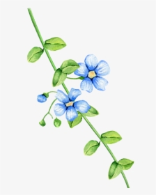 Transparent Cartoon Flowers - Flower, HD Png Download, Free Download