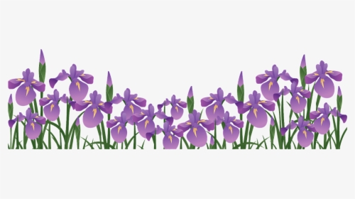 Tommie Crocus, HD Png Download, Free Download