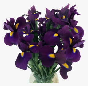 Iris, HD Png Download, Free Download