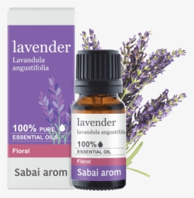 Lavender Essential Oil, HD Png Download, Free Download
