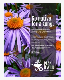 Piw 0012, HD Png Download, Free Download