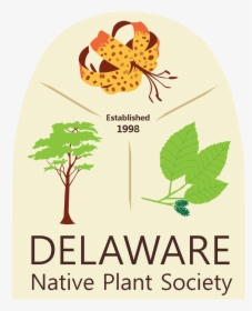 Delaware Native Plant Society - Illustration, HD Png Download, Free Download