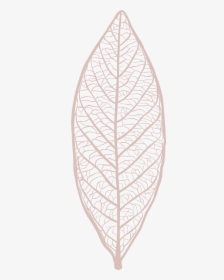Wood, HD Png Download, Free Download