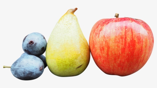Apple, HD Png Download, Free Download