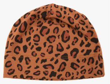 Beanie, HD Png Download, Free Download