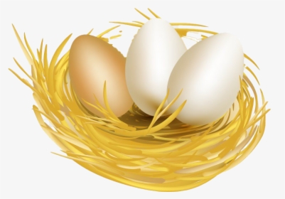 White Easter Egg Png Free Download - Chicken Eggs & Nest Clipart, Transparent Png, Free Download