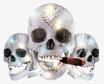Skull, HD Png Download, Free Download