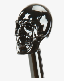 Skull, HD Png Download, Free Download