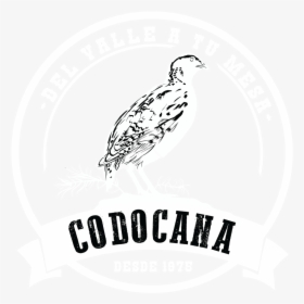 Codocana, HD Png Download, Free Download