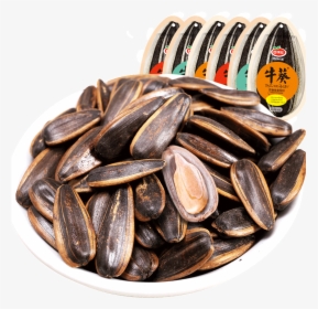 Mussel, HD Png Download, Free Download