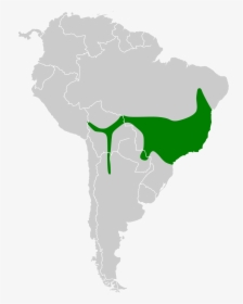 Map Of South America Png, Transparent Png, Free Download