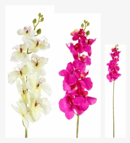 9 Head Orchid Flower - Artificial Flower, HD Png Download, Free Download