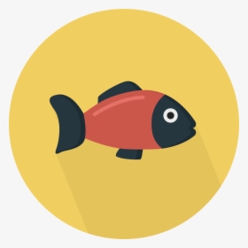 Fish Icon Png, Transparent Png, Free Download