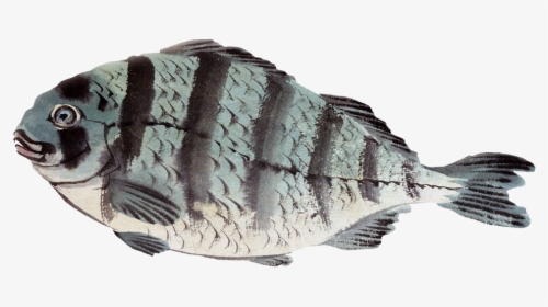 Black Tail Permit Fish Png, Fish Painting Png - Japanese Art, Transparent Png, Free Download