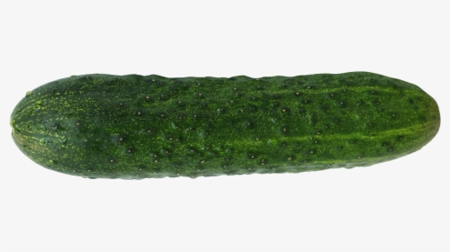 Artificial Turf, HD Png Download, Free Download