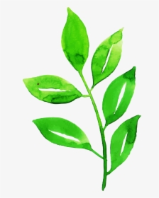 Clip Art, HD Png Download, Free Download